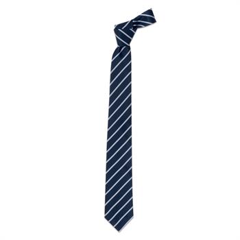 CRAVATTA UOMO FANTASIA RIGATO BLU