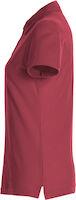 CLIQUE BASIC POLO LADY BRDEAUX 38